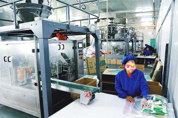 给袋式颗粒全自动污视频成人厂家
